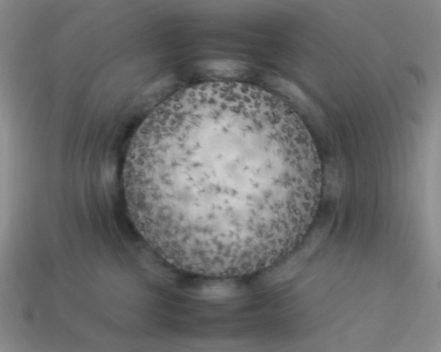 X0000113890377200910151340