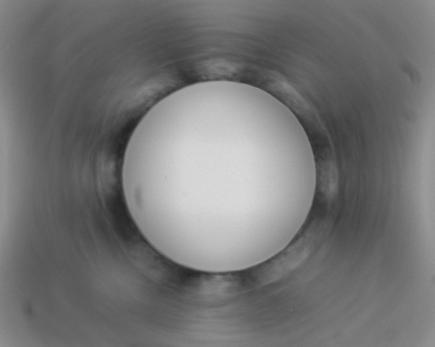 X0000113890378200910151340