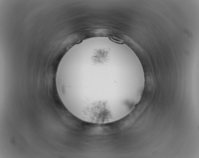 X0000113890379200910151340