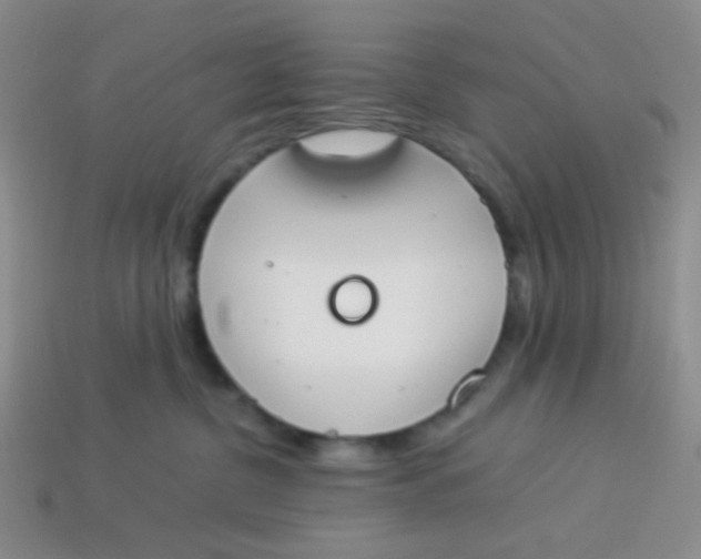 X0000113890380200910151340