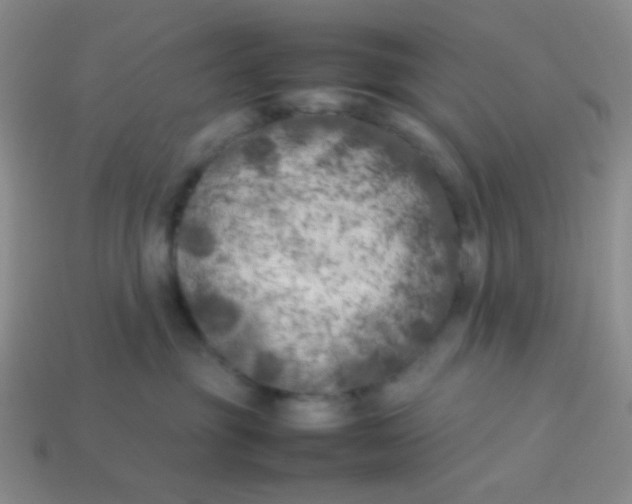 X0000113890381200910151340
