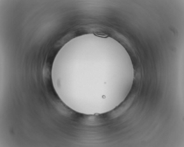 X0000113890382200910151340