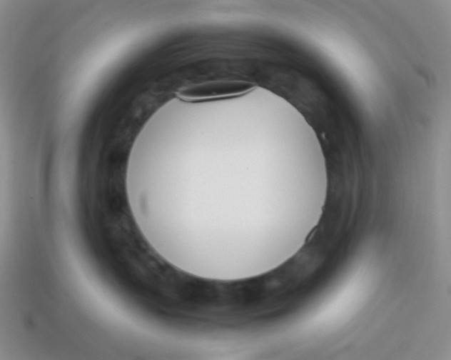 X0000113890383200910151340