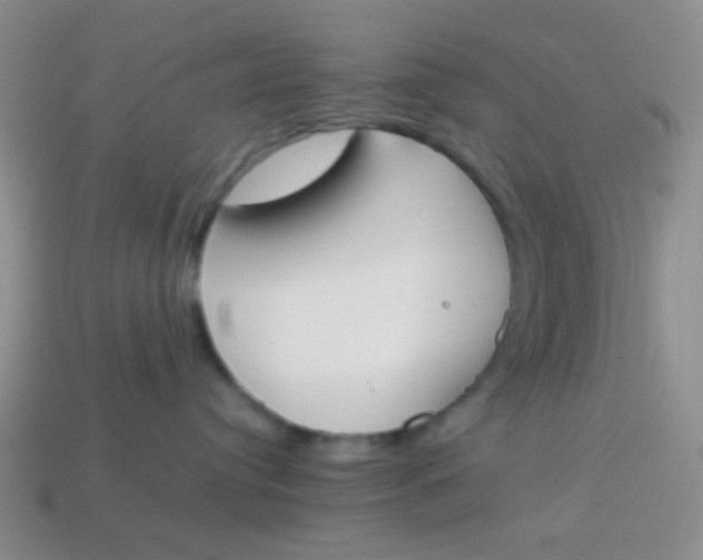 X0000113890384200910151340