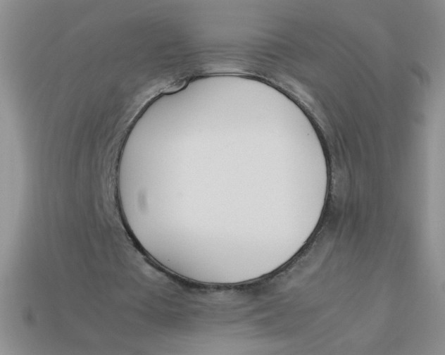 X0000113890385200910151339