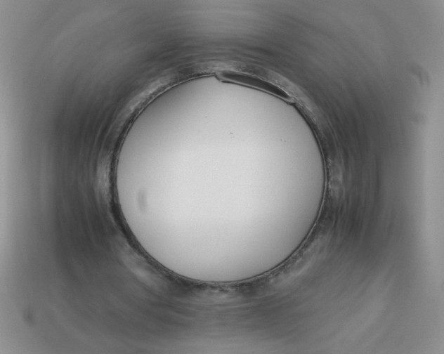 X0000113890386200910151339