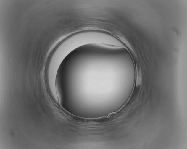 X0000113890387200910151339