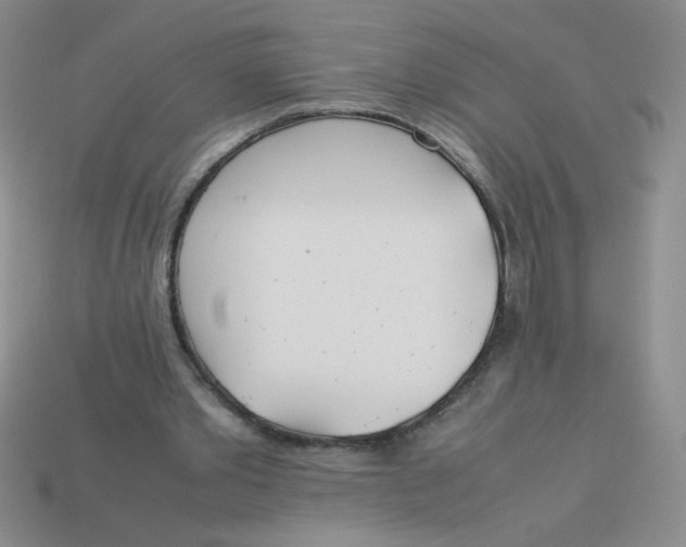 X0000113890389200910151339