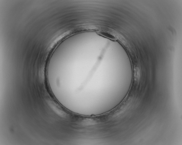 X0000113890390200910151339