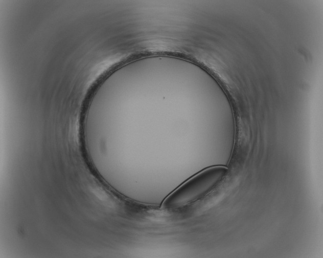 X0000113890391200910151339