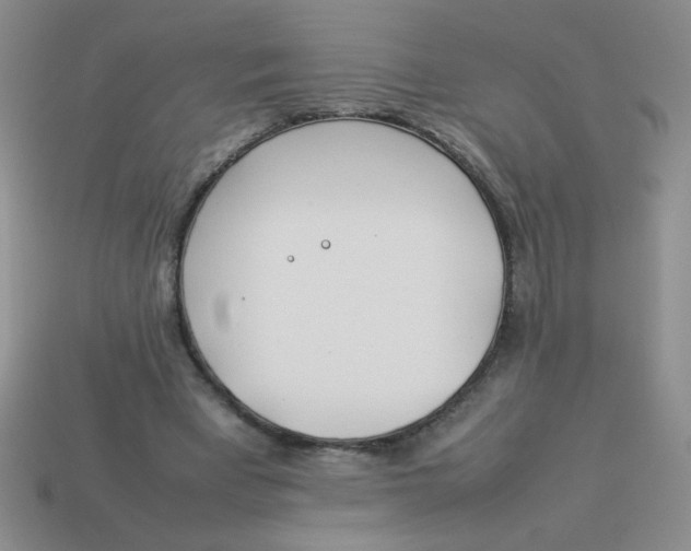 X0000113890393200910151339