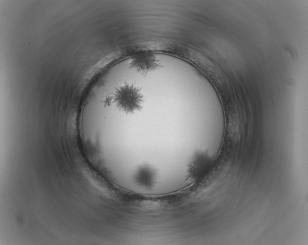 X0000113890394200910151339