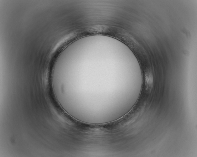 X0000113890396200910151339