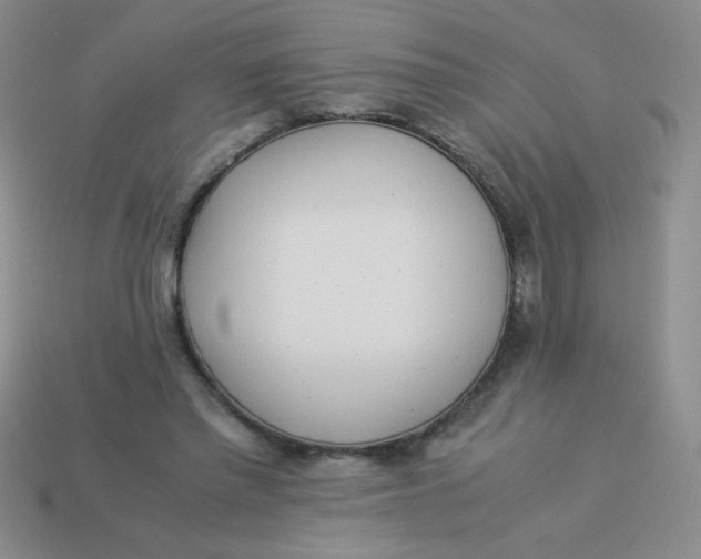 X0000113890397200910151339