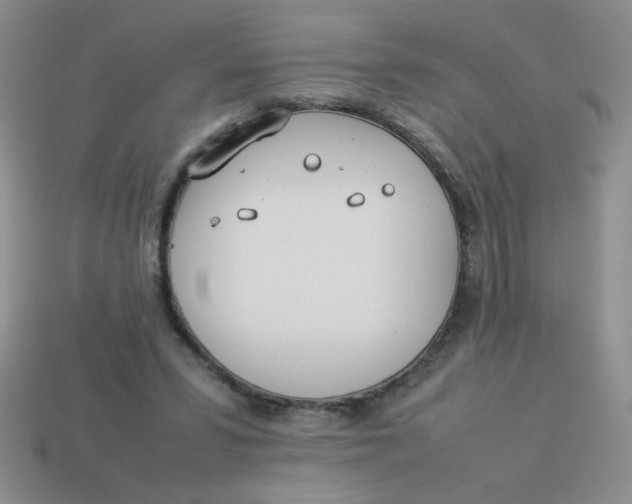 X0000113890399200910151339