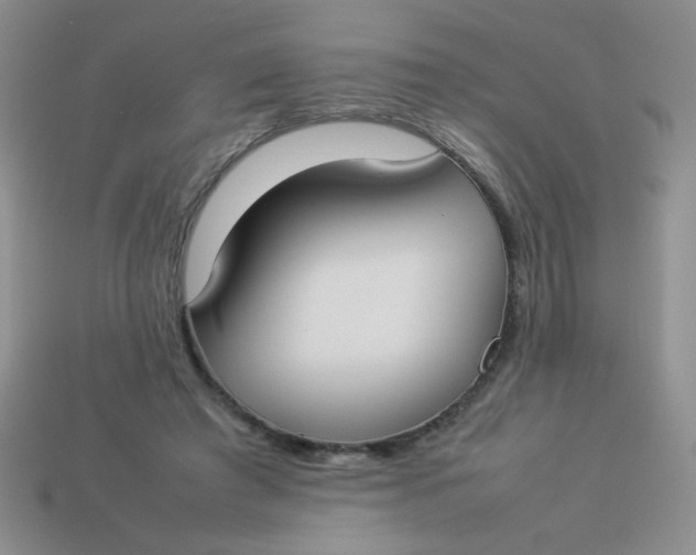 X0000113890401200910151339
