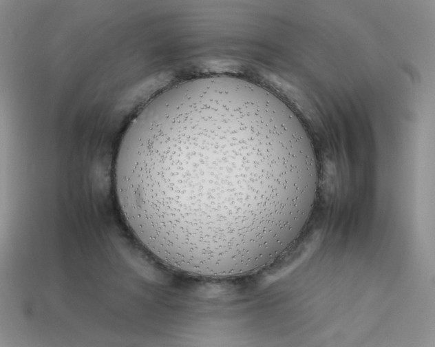 X0000113890402200910151339