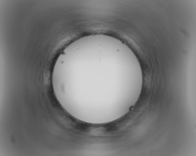 X0000113890403200910151339
