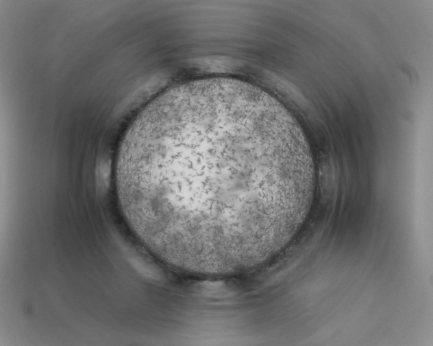 X0000113890406200910151339