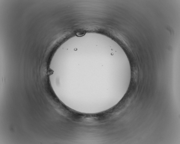 X0000113890407200910151339