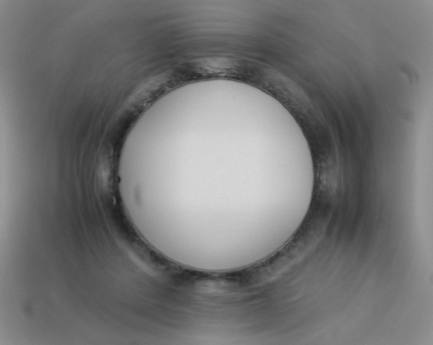 X0000113890408200910151339