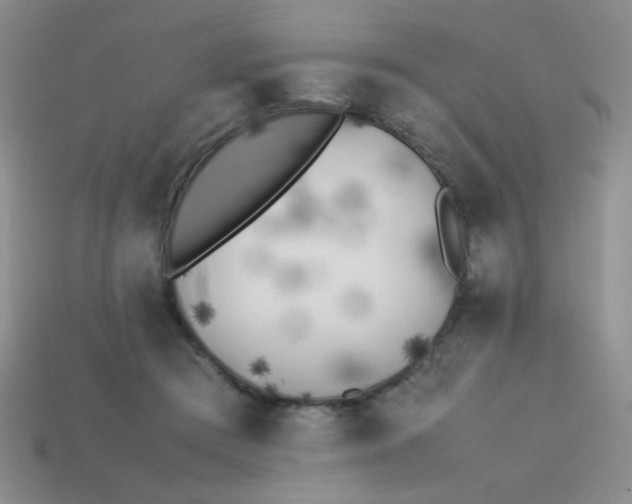X0000113890409200910151339
