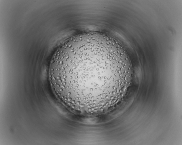 X0000113890410200910151339