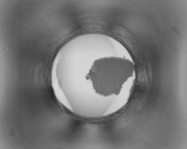 X0000113890411200910151339