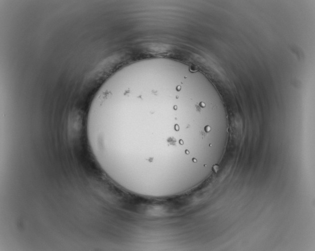 X0000113890412200910151339
