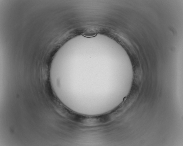 X0000113890413200910151339