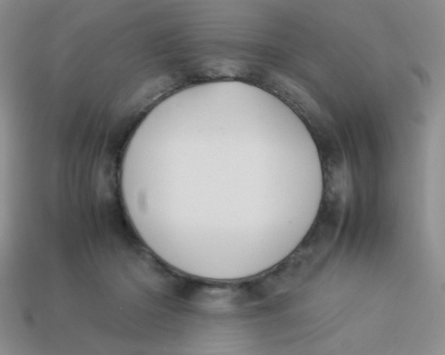 X0000113890414200910151339