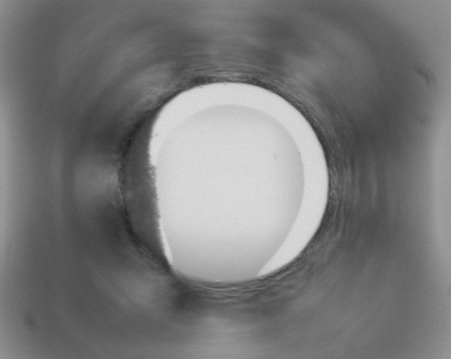 X0000113890415200910151339