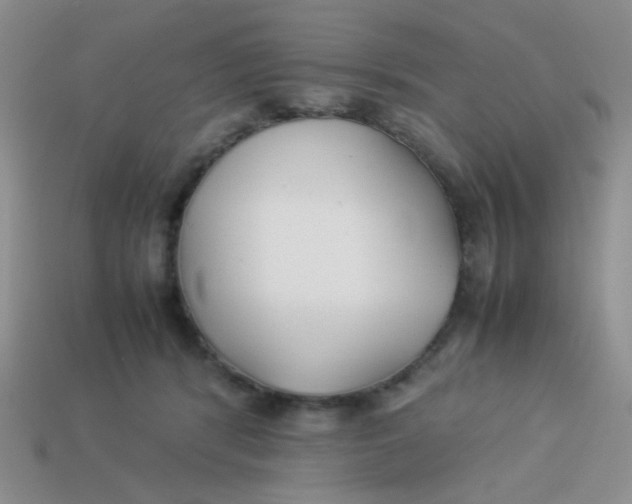 X0000113890416200910151339