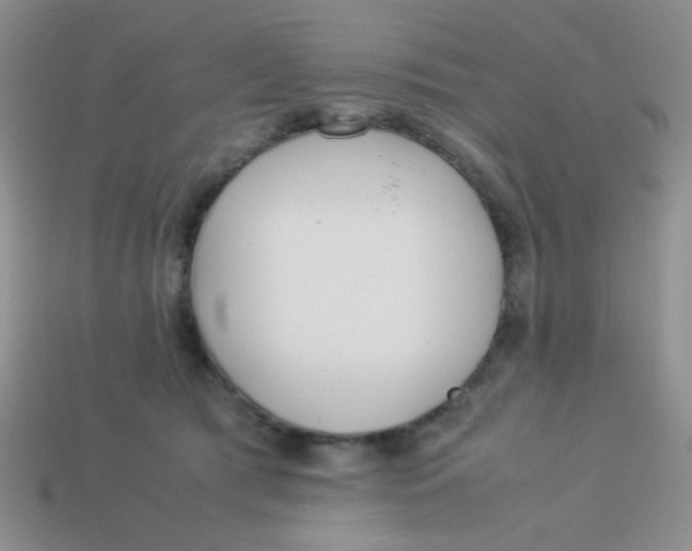 X0000113890417200910151339