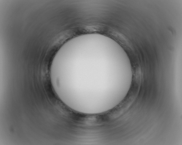 X0000113890418200910151339