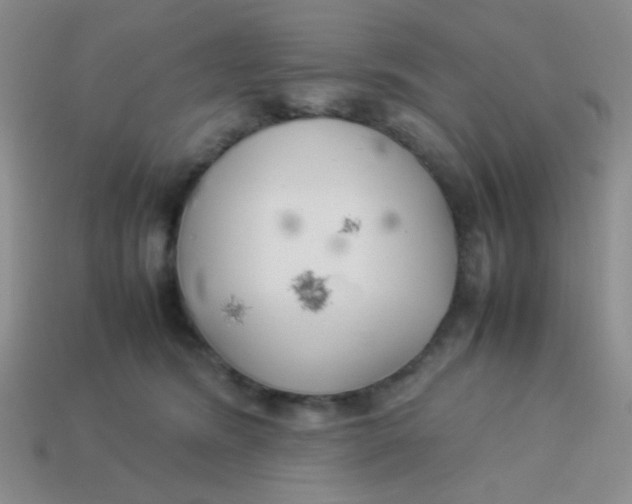 X0000113890420200910151339