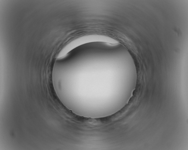 X0000113890421200910151339