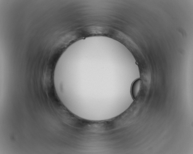 X0000113890422200910151339