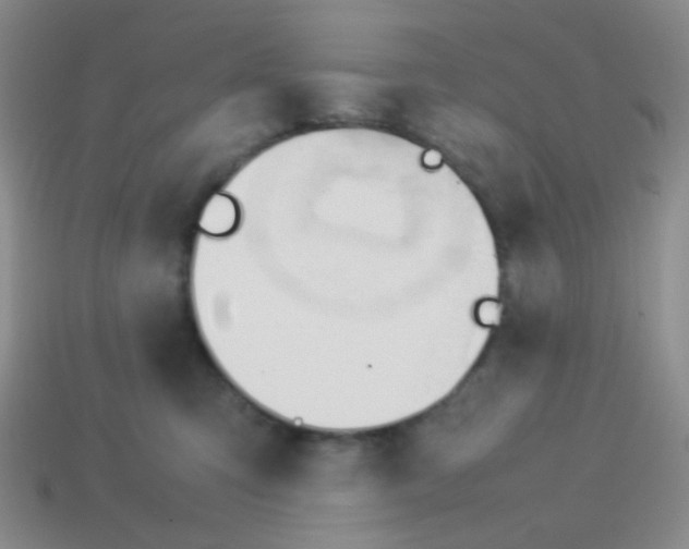 X0000113890423200910151339