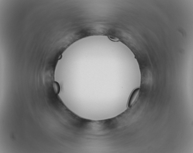 X0000113890425200910151339