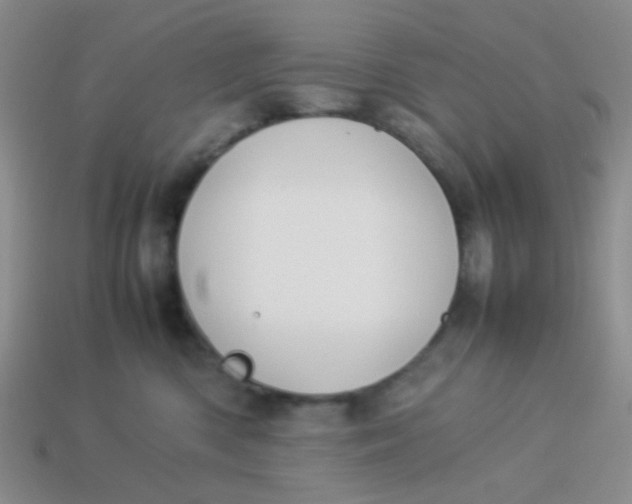 X0000113890426200910151338