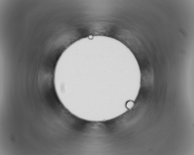 X0000113890427200910151338
