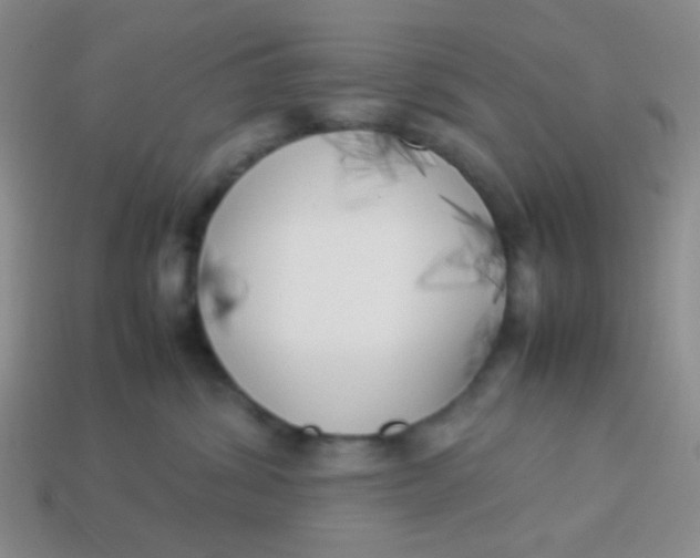 X0000113890428200910151338