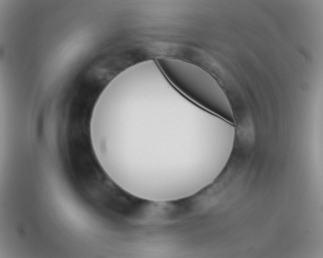 X0000113890429200910151338