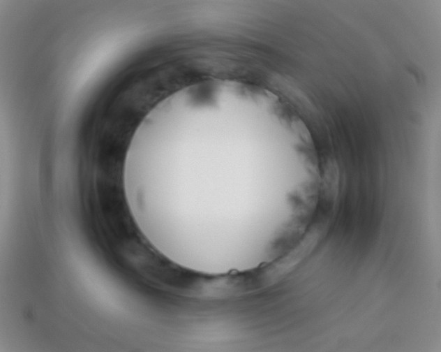 X0000113890430200910151338