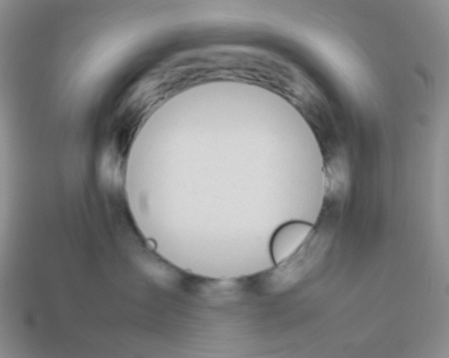 X0000113890431200910151338