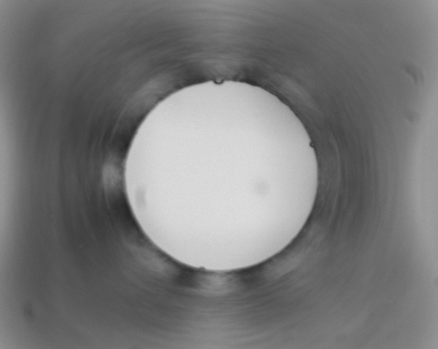 X0000113890432200910151338