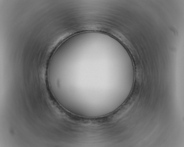 X0000113890434200910151338