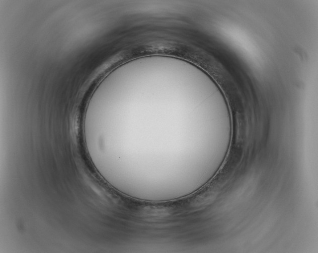X0000113890435200910151338