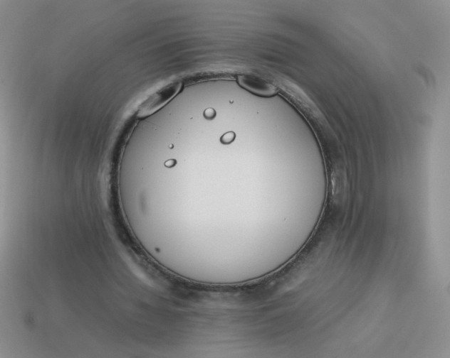 X0000113890436200910151338
